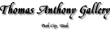 Welcome to Thomas Anthony Gallery