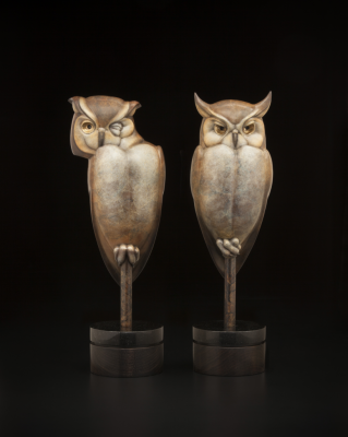 Screech Owls
